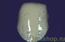 Solidex NCC ���� 2 ��