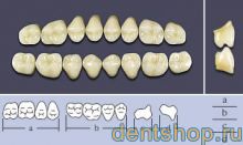 ���� ������������� �S5