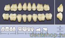 ���� ������������� �T4