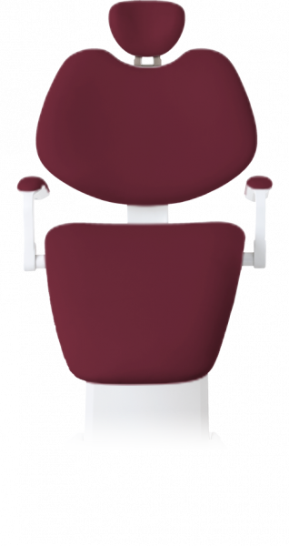 Стоматологическое кресло Diplomat Chair Pro